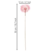 Itens Flores secas gigantes de dente-de-leão, decoração elegante para casa, 12 cm, 4 peças