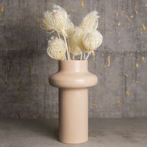Itens Flores secas creme funcho branqueado 45 cm buquê 10 unidades