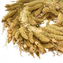 Itens Coroa decorativa seca com cardos e painço em tons de verde-oliva, estilo campestre natural, Ø28cm, versátil para decoração de parede e mesa.