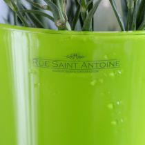 Itens Vaso Flor Verde Vaso Decorativo Oliva Efervescente Ø16,5cm H27cm