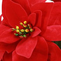 Itens Poinsétia Estrela de Natal Vermelha Artificial L55cm 2pcs