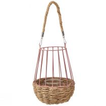 Itens Lanterna com cabo e vela em vidro rosa natural Ø18cm Alt.22cm