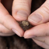 Itens Cordão de lã Mirabell macio, marrom, fita decorativa de 25m para arranjos florais e artesanato.