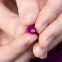 Itens Cordão de lã roxo, 55m, fio decorativo para arranjos florais e artesanato.