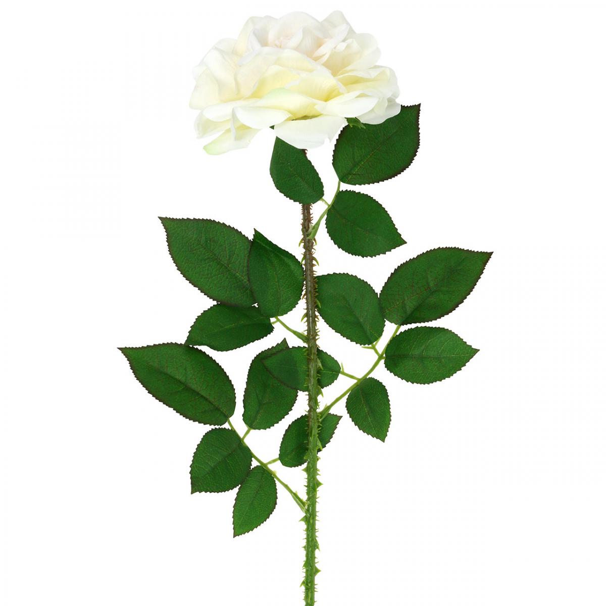 Floristik24.pt Flor de seda, rosa em caule, planta artificial branco  cremoso, rosa L72cm Ø13cm - compre barato online