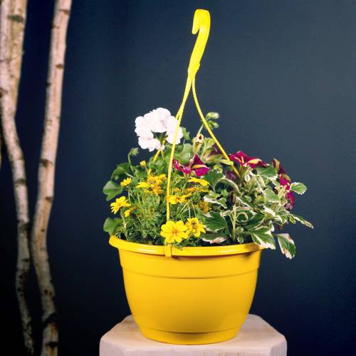 Itens Cesto de flores Galiza Ø30cm branco