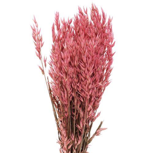 Itens Flores secas, aveia grão seco decorativo rosa 65cm 160g