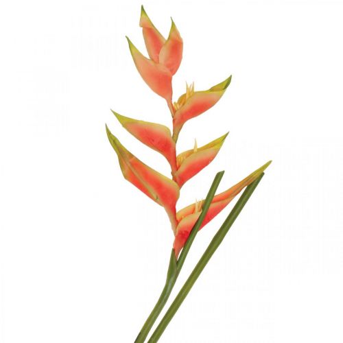 Floristik24 Heliconia artificial flores artificiais rosa exótico, verde H103cm