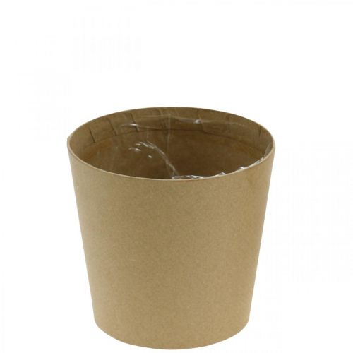 Floristik24 Vasos para plantar, vaso de flores, vaso de plantas natureza Ø11cm H10cm 6pcs