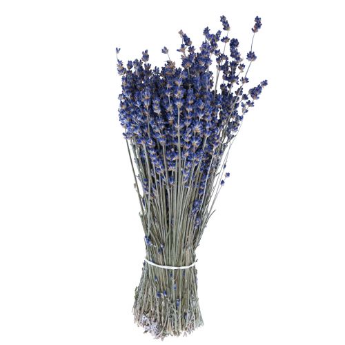 Lavanda Seca Ramo de Flor Seca Azul 25cm 75g