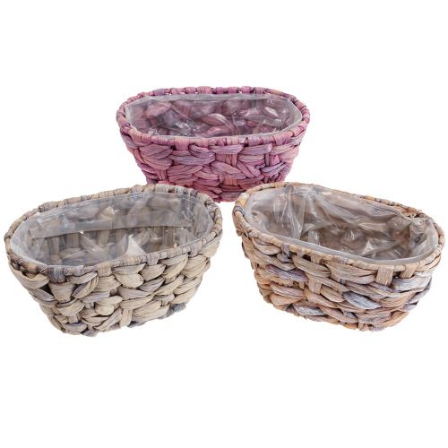 Itens Cesta de plantas cesta de ervas marinhas cachepot de jacinto d&#39;água oval 20,5 cm 3 unidades