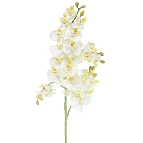 Floristik24 Phalaenopsis Orquídeas Artificiais Flores Artificiais Branco 70cm