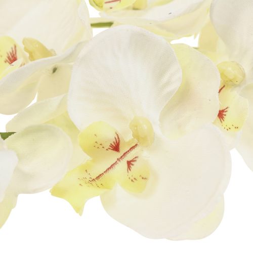 Floristik24 Phalaenopsis Orquídeas Artificiais Flores Artificiais Branco 70cm