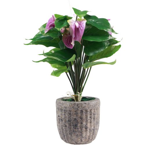 Floristik24 Flores artificiais antúrio artificial plantas artificiais em vaso 41cm