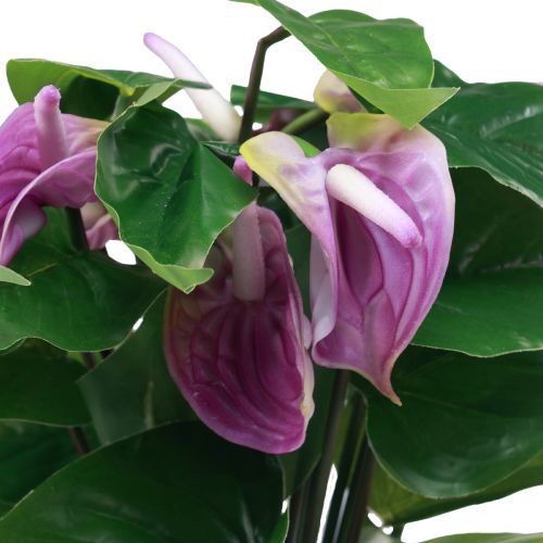 Floristik24 Flores artificiais antúrio artificial plantas artificiais em vaso 41cm