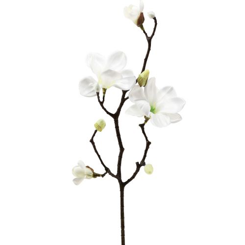 Floristik24 Ramo de magnólia artificial, magnólia branca artificial 58 cm 3 peças