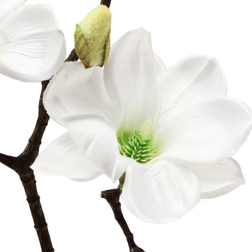 Floristik24 Ramo de magnólia artificial, magnólia branca artificial 58 cm 3 peças