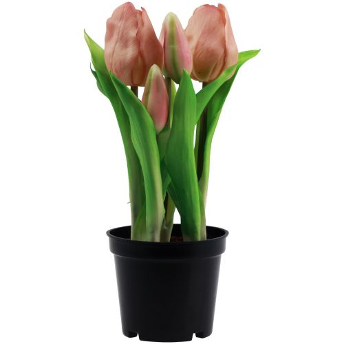 Floristik24 Tulipas artificiais em vaso Tulipas Pêssego flores artificiais 22cm