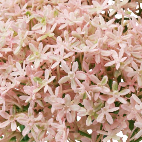 Itens Flor decorativa Wild Allium rosa artificial 70 cm 3 unidades