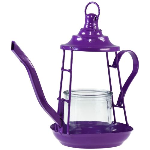 Floristik24 Porta-velas lanterna de vidro bule roxo Ø13cm Alt.22cm