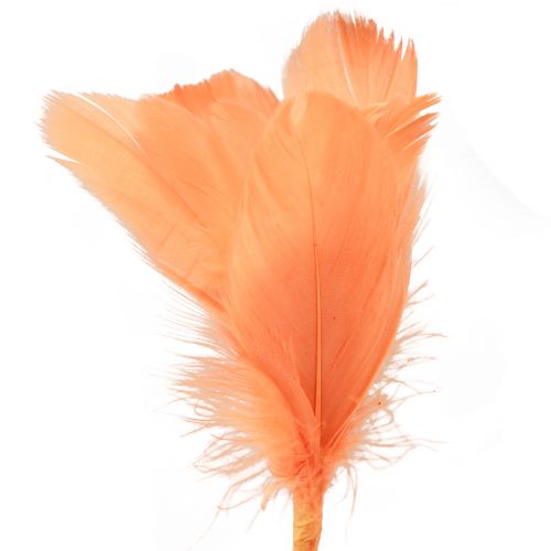 Itens Penas decorativas penas de pássaro laranja em palito 36 cm 12 unidades