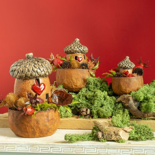 Itens Lanterna bolota castanha, 15,4 cm - Decoração rústica de outono com motivo de coração