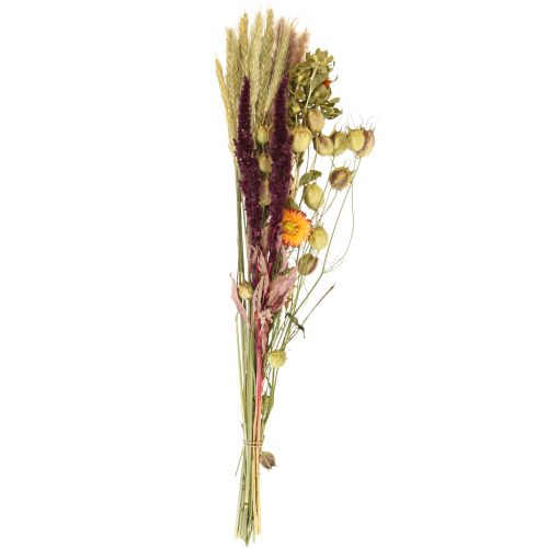 Floristik24 Buquê de flores secas flores de palha laranja roxo 55cm 70g