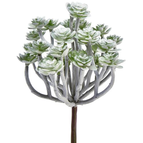 Itens Stonecrop Suculentas Artificiais Plantas Artificiais 16cm 4 pcs