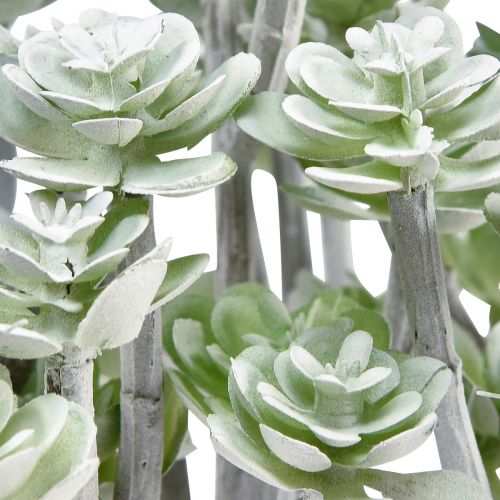 Itens Stonecrop Suculentas Artificiais Plantas Artificiais 16cm 4 pcs