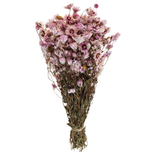 Floristik24 Flores de palha flores secas branco rosa 20-35cm cacho 40g