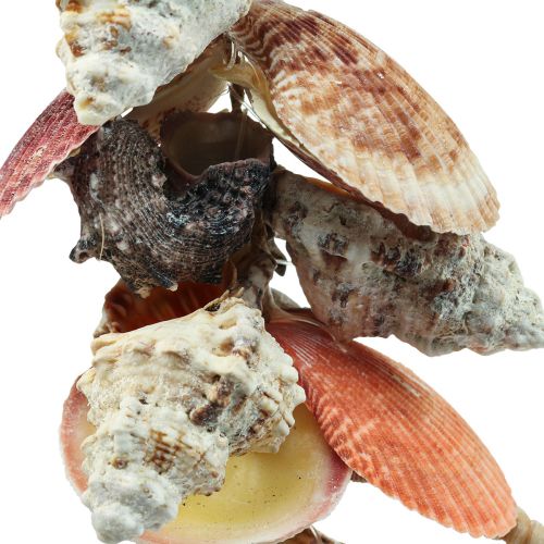 Floristik24 Decoração marítima suspensa decoração de conchas e caracóis marinhos 82cm
