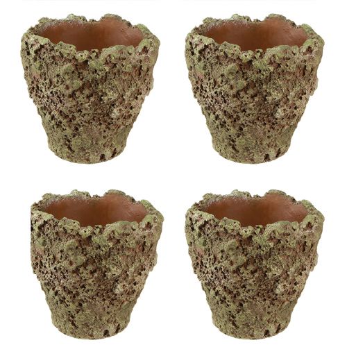 Itens Vaso para plantas rústico aspecto de musgo Ø17cm Alt.16,5cm 4 unidades