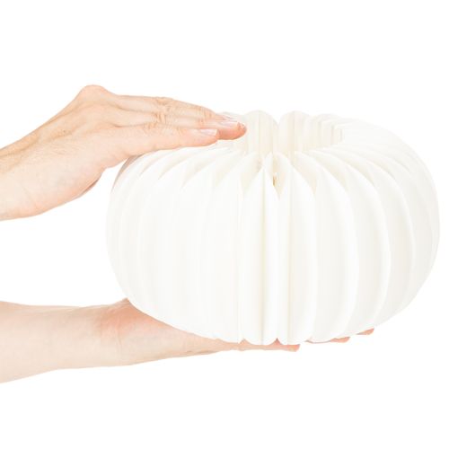 Anel de papel em formato de favo de mel, formato de abóbora redonda grande, 24 cm, pacote com 4 unidades, ideal para flores secas e decoração de outono. | Floristik24.pt