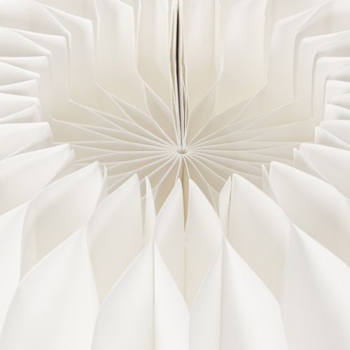 Anel de papel em formato de favo de mel, formato de abóbora redonda grande, 24 cm, pacote com 4 unidades, ideal para flores secas e decoração de outono. | Floristik24.pt