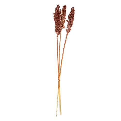 Flores Secas Sorgo Milho Laranja Flores Secas 70cm 3 unidades