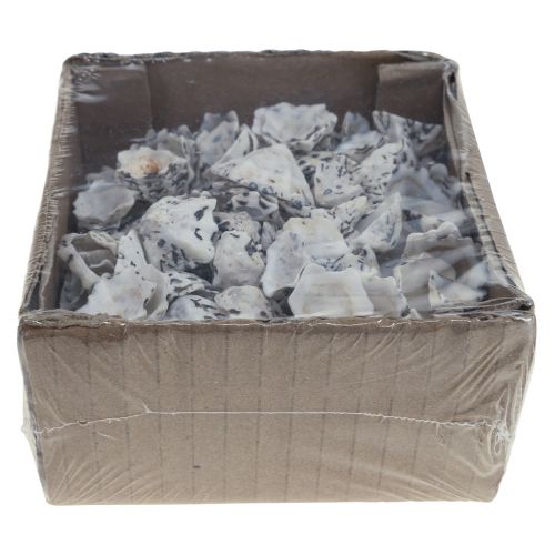 Floristik24 Shell Deco Shells Branco Preto Pequeno 1-2,5cm 250g