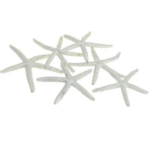 Floristik24 Estrela do mar prata decoração marítima estrela do mar decoração de verão 7,5 cm 10 peças