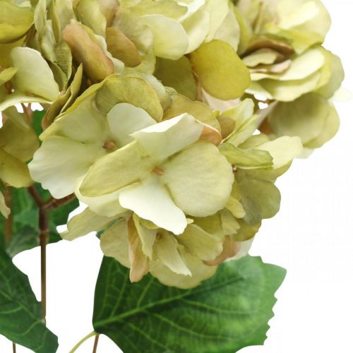 Floristik24 Buquê de hortênsia artificial verde, marrom 5 flores 48cm