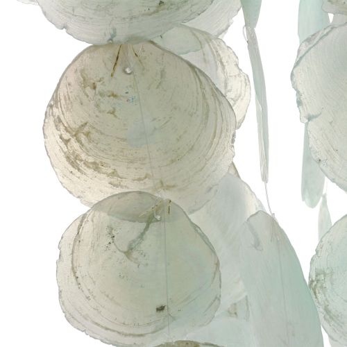 Floristik24 Capiz carrilhão de vento decoração pendente decoração concha verde Ø29cm 160cm