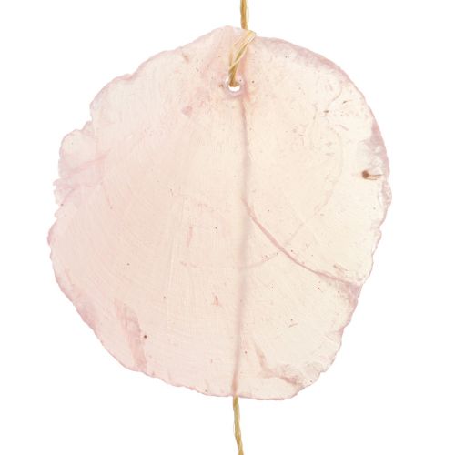 Floristik24 Guirlanda de conchas guirlanda de conchas de madrepérola Capiz rosa L108cm