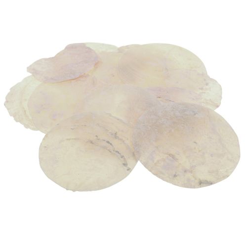 Itens Conchas Capiz discos madrepérola conchas decorativas rosa claro Ø8cm