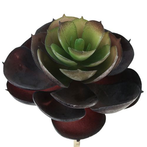 Itens Suculentas Echeveria Plantas Verdes Artificiais Ø7cm 12cm 6 un