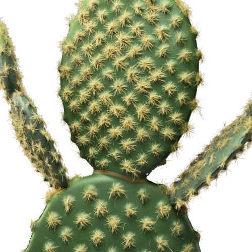 Floristik24 Cacto decorativo planta em vaso artificial pera espinhosa 64cm