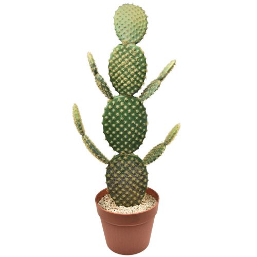 Floristik24 Cacto decorativo planta em vaso artificial pera espinhosa 64cm