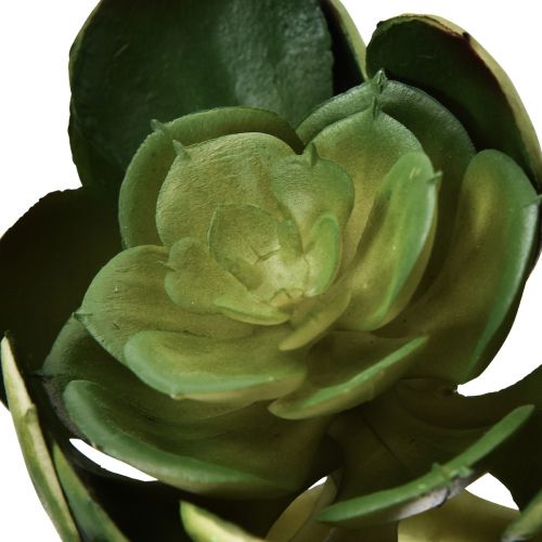 Floristik24 Planta artificial suculenta Echeveria artificial Ø7cm