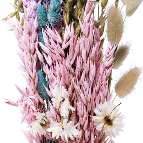 Floristik24 Buquê de flores secas flores de palha grão Phalaris 58cm