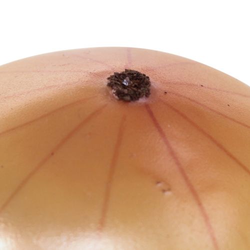 Floristik24 Legumes Artificiais Cebola Deco vegetais artificiais Ø7.5cm