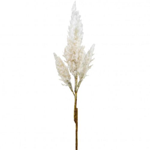 Floristik24 Grama dos pampas creme branco decoração de grama seca artificial 82cm