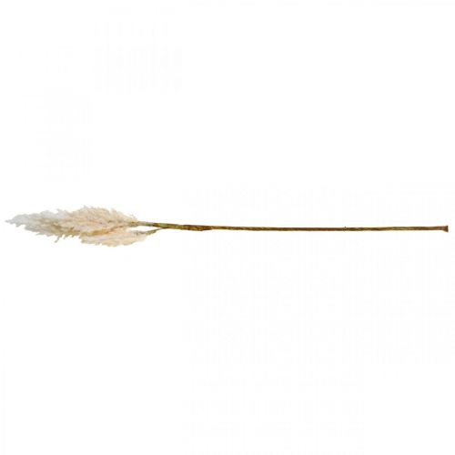 Floristik24 Grama dos pampas creme branco decoração de grama seca artificial 82cm