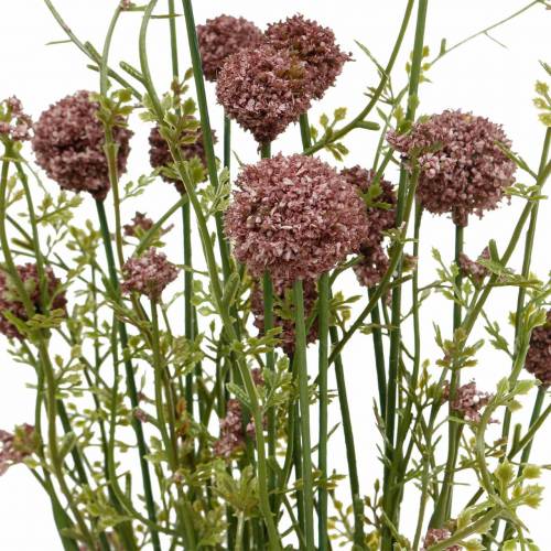Floristik24 Artificial Craspedia Violet Baqueta Flores Artificiais 3 unidades